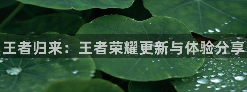 辉达娱乐注册平台：王者归来：王者荣耀更新与体验分享
