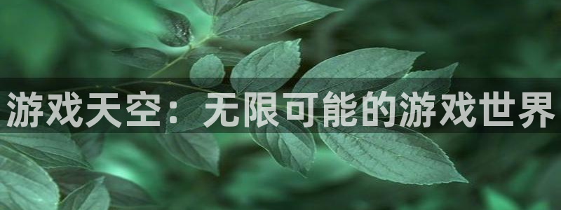 辉达娱乐官方登录网址：游戏天空：无限可能的游戏世界