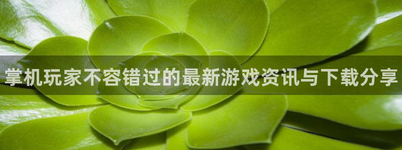 辉达娱乐2登录：掌机玩家不容错过的最新游戏资讯与下载分享