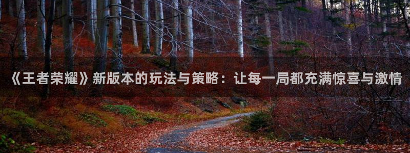 辉达娱乐平台官网登录：《王者荣耀》新版本的玩法与策略：让每一