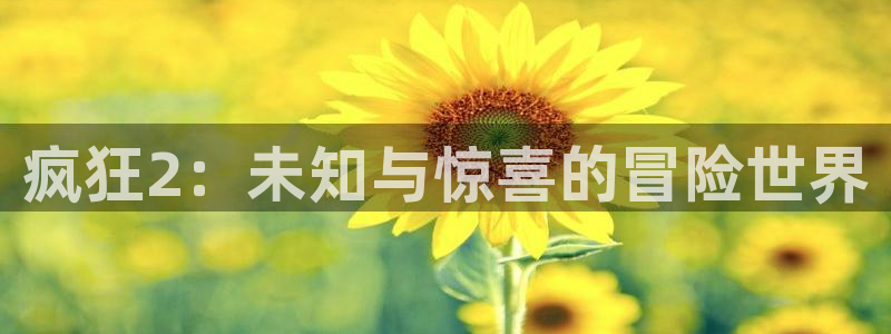 辉达娱乐：疯狂2：未知与惊喜的冒险世界