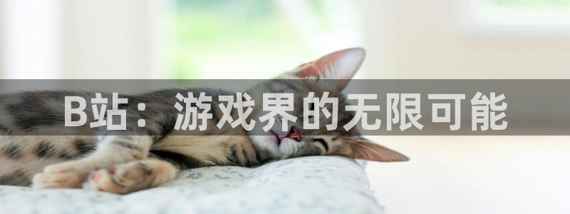 辉达娱乐开户测速：B站：游戏界的无限可能