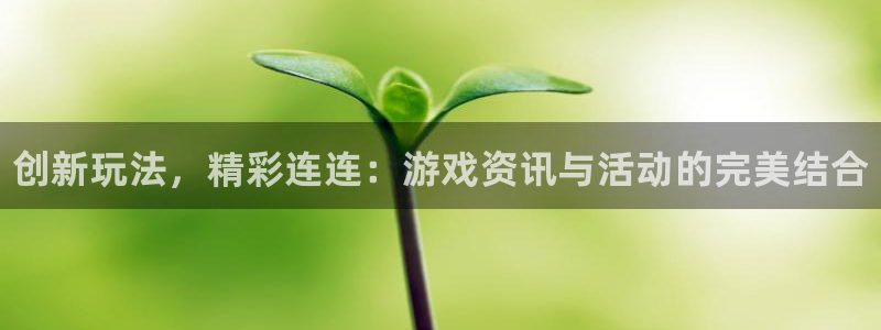 手机版辉达娱乐客户端下载：创新玩法，精彩连连：游戏资讯与活动