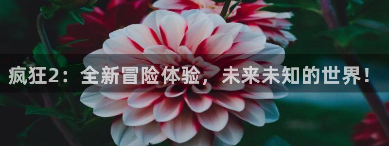 手机版辉达娱乐客户端下载：疯狂2：全新冒险体验，未来未知的世