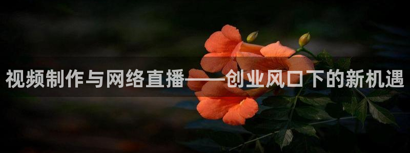 辉达娱乐4主管：视频制作与网络直播——创业风口下的新机遇