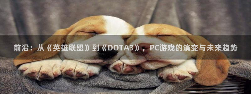 辉达娱乐平台负责人：前沿：从《英雄联盟》到《DOTA3》，P