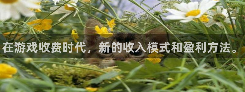 辉达娱乐登陆测速：在游戏收费时代，新的收入模式和盈利方法。